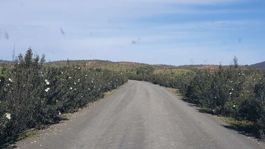 Desarrollo Rural publica el anuncio de licitación de un lote de mejora de caminos rurales por más de 361.000 euros