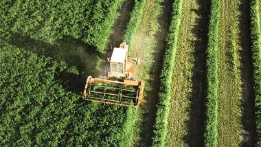 Monago: Extremadura no puede concebir ni su presente ni su futuro sin agricultores y ganaderos