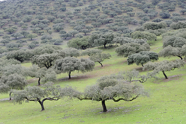 ¿Y ahora qué? ¿Qué está fallando en Extremadura?
