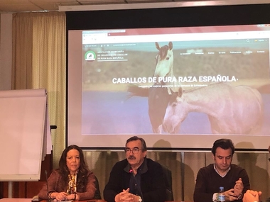 Agricultura y Ganadería lanza una web y una aplicación móvil para promocionar la pura raza española equina