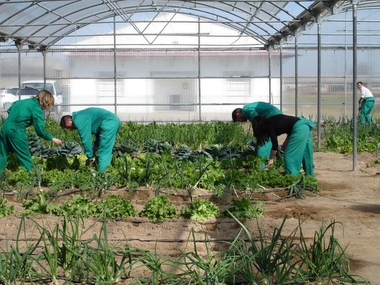El DOE publica el decreto sobre concesión de incentivos agroindustriales para el desarrollo de productos agrícolas