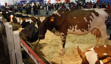 AGROEXPO generará en torno a 1.000 puestos de trabajo directos durante los días de su celebración