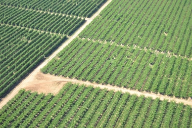La Junta avanza en el proyecto de transformación en regadíos de Arroyo del Campo y Los Quintos