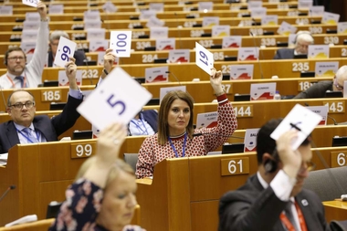 Extremadura defiende en Bruselas el papel de las regiones para abordar los Objetivos de Desarrollo Sostenible (ODS)