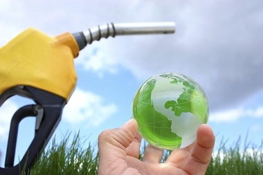 La Junta recibe 14 solicitudes de ayuda para la fabricación de biocombustibles sólidos y carbón vegetal, con una inversión que superará 34 millones