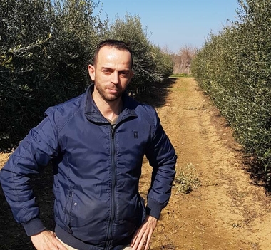 Un vídeo recoge el ensayo de variedades de olivar en seto desarrollado en la Finca La Orden