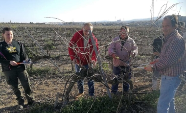 El Centro de Formación del Medio Rural de Villafranca de los Barros acoge un curso de poda de vid