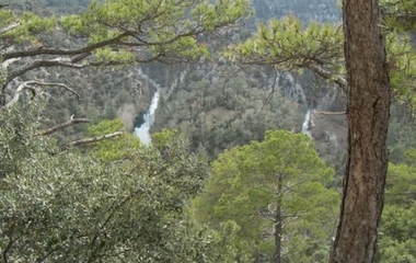 Bosque de oportunidades, un proyecto que formará a más de 150 personas sobre el medio natural y el sector forestal en la provincia de Cáceres