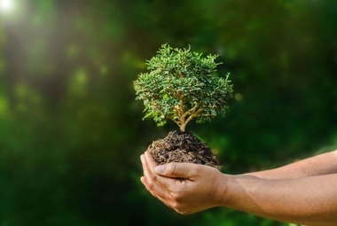 El agua y el pez Ecología humana