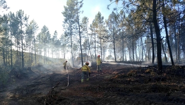 Medio Ambiente declara Época de Peligro Medio de Incendios Forestales entre el 25 y el 31 de marzo