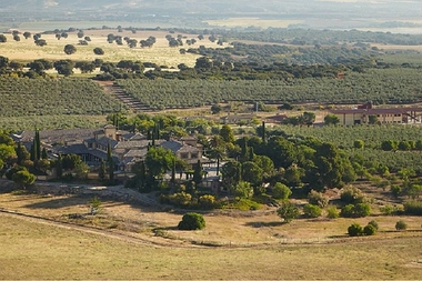 Casas de Hualdo: aceite natural e irrepetible