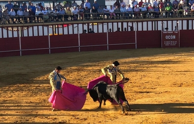 La Escuela Taurina de la Diputación de Badajoz participa en un tentadero en la ganadería de Alejandro Talavante