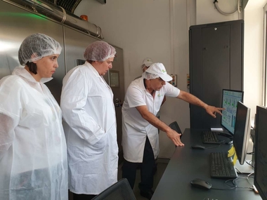 La consejera Begoña García resalta el potencial del sector tomatero en la economía extremeña