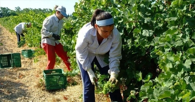 Cooperativas Agro-alimentarias Extremadura desarrollará líneas estratégicas de igualdad de oportunidades