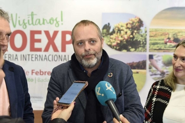 El consejero de Economía destaca la importancia de Agoexpo como escaparate internacional para la agricultura extremeña