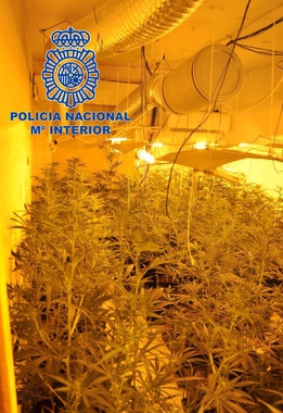 Policía Nacional detiene a una persona reclamada por dos Juzgados de la provincia