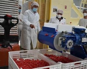 Empresas del medio rural ya pueden solicitar las ayudas de Juventas Emplea para contratar a jóvenes de municipios de menos de 10.000 habitantes