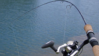Extremadura acoge este fin de semana un Campeonato de España de Pesca
