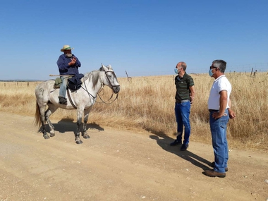 El secretario de Población y Desarrollo Rural asiste en La Cumbre y Trujillo a una etapa de trashumancia de dos ganaderías extremeñas