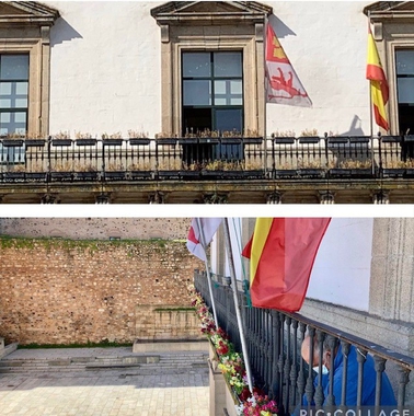 La decoración ornamental con flores del Ayuntamiento de Cáceres se viene abajo mostrando todas las jardineras secas