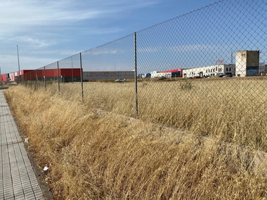 Piden el desbroce de la parcela del mercadillo de los domingos ante el peligro de incendio