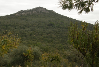 El Ayuntamiento sancionará con 76.500 euros a 'Tecnología Extremeña del Litio' y 'Valoriza Minería' por infracciones urbanísticas en Valdeflores