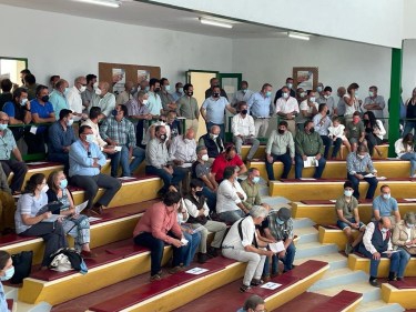 Zafra cierra las subastas de vacuno con un remate de 76.520 euros