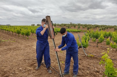 El DOE publica la convocatoria de ayudas para proyectos de inversión acogidos al Programa de Apoyo al Sector Vitivinícola Español 2019-2023