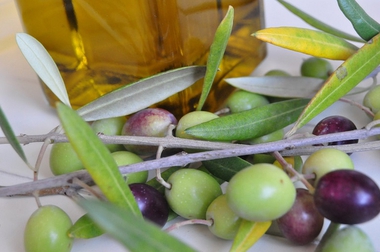 Agricultura publica la resolución favorable de la solicitud de la DOP Aceite Villuercas Ibores Jara