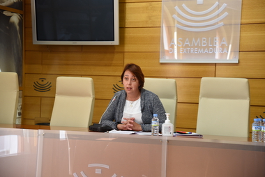 Unidas Por Extremadura preguntará por el cierre de colegios públicos en el próximo pleno de la Asamblea 