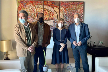 Diputación de Cáceres y AEMO trabajan en el impulso del sector olivarero en la provincia