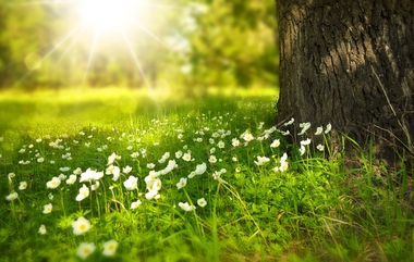 El pasado invierno ha sido muy seco y muy caluroso y las previsiones apuntan a una primavera más cálida y más seca de lo normal