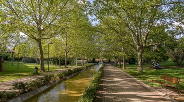 El Parque del Príncipe abre tras finalizar las labores de mantenimiento y supervisión de árboles