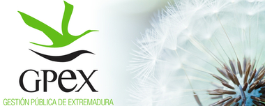 GPEX convoca una oferta de trabajo de personal técnico de apoyo informático