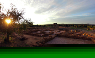 Visita guiada a la ciudad romana de Cáparra