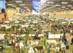 Los premios Besana Extremadura se entregarán el próximo 29 de enero en la feria Agroexpo