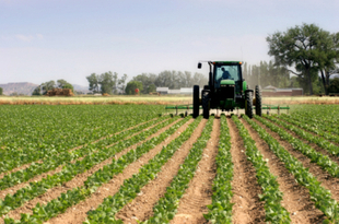 Unos 7.000 agricultores y ganaderos reciben cuatro millones de euros de ayudas para contratar seguros