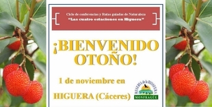 Ruta guiada por la senda de los castañares