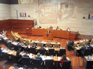 La oposición anuncia que no apoya la enmienda a la totalidad del grupo parlamentario socialista