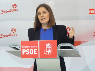 El PSOE señala que no está dispuesto a que el Gobierno regional ''tire a la basura 21.000 solicitudes de la Renta Básica''