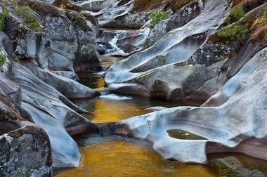 La Garganta de los Infiernos celebra su 20 aniversario como Reserva Natural con actividades medioambientales