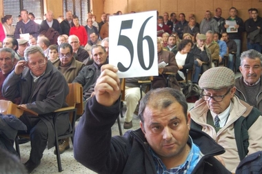 La Feria Agroganadera de Trujillo termina con un notable volumen de negocio en la subasta de ganado vacuno