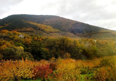 Ocres, verdes, marrones y rojo, el otoño en el Valle del Jerte.