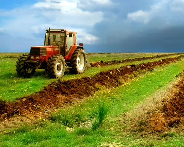 La Cámara instará al Gobierno central reducir de 35 a 20 las peonadas para el subsidio agrario y aumentar la financiación