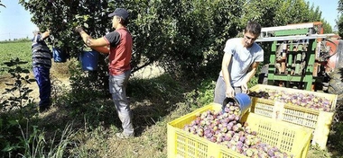 El PIB de Extremadura tuvo en el tercer trimestre su primer crecimiento interanual en cuatro años