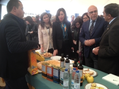 El Programa de Desarrollo Rural incluyeayudas para modernizar el olivar, de hasta el 50%para arranque y plantaciones,