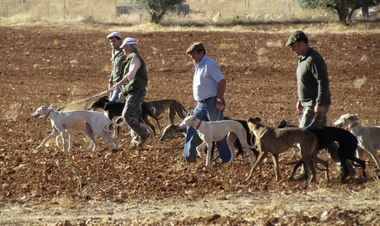 El nuevo Plan General de Caza de Extremadura recogerá una comarcalización cinegética y estará consensuado con el sector
