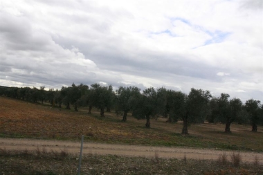Cooperativas Agro-alimentarias Extremadura, satisfecha por el endurecimiento de penas para los robos en el campo