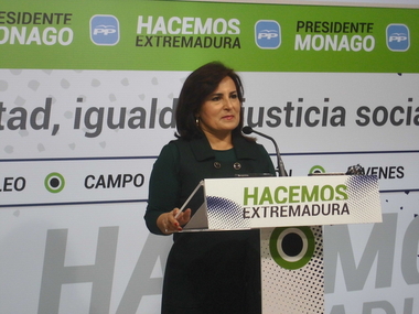 PP denuncia que varios diputados socialistas han ''utilizado fondos públicos'' para financiar una campaña publicitaria