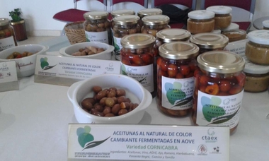 La innovación, la especialización, la internacionalización, la profesionalización y la formación, claves parael sector agroalimentario extremeño